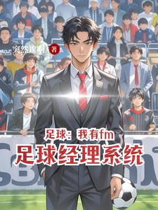 fm足球经理体验